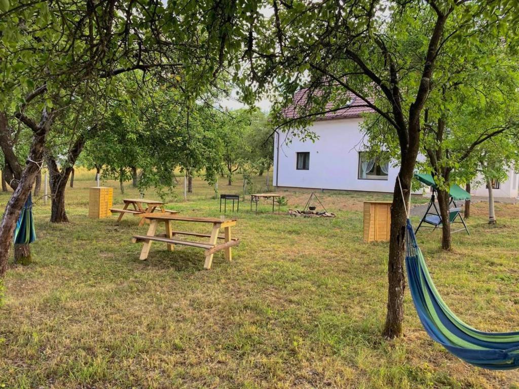 Pensiunea Rnb Maramures Surdesti  Esterno foto
