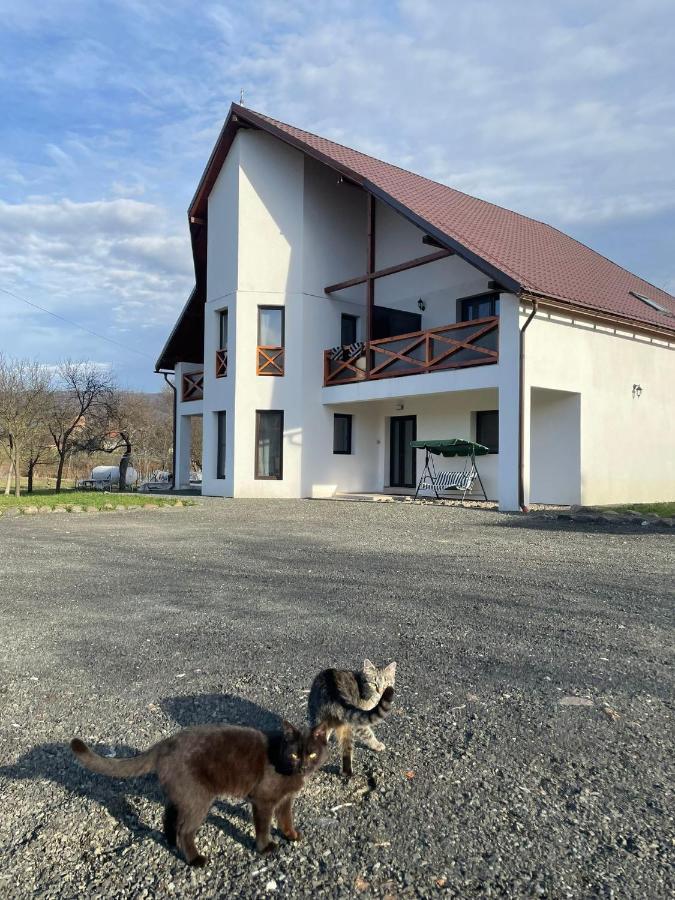 Pensiunea Rnb Maramures Surdesti  Esterno foto